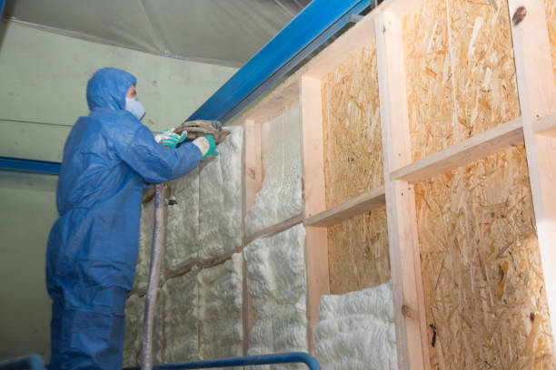 Insulation Inspection Services in Gainesville, TX